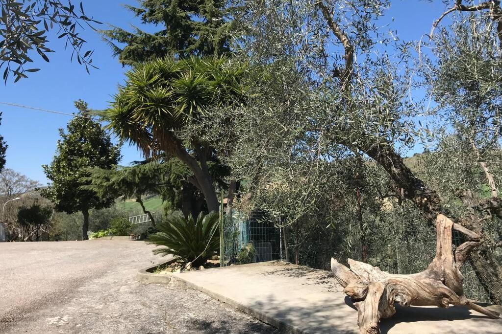 Casa Lu Monaco Tranquillita A Due Passi Dal Mare Apartment Porto d'Ascoli Luaran gambar
